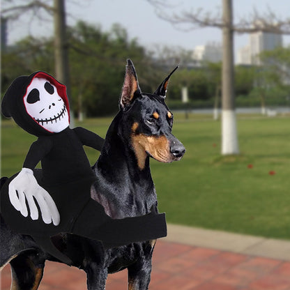 Halloween costume for dogs skull character