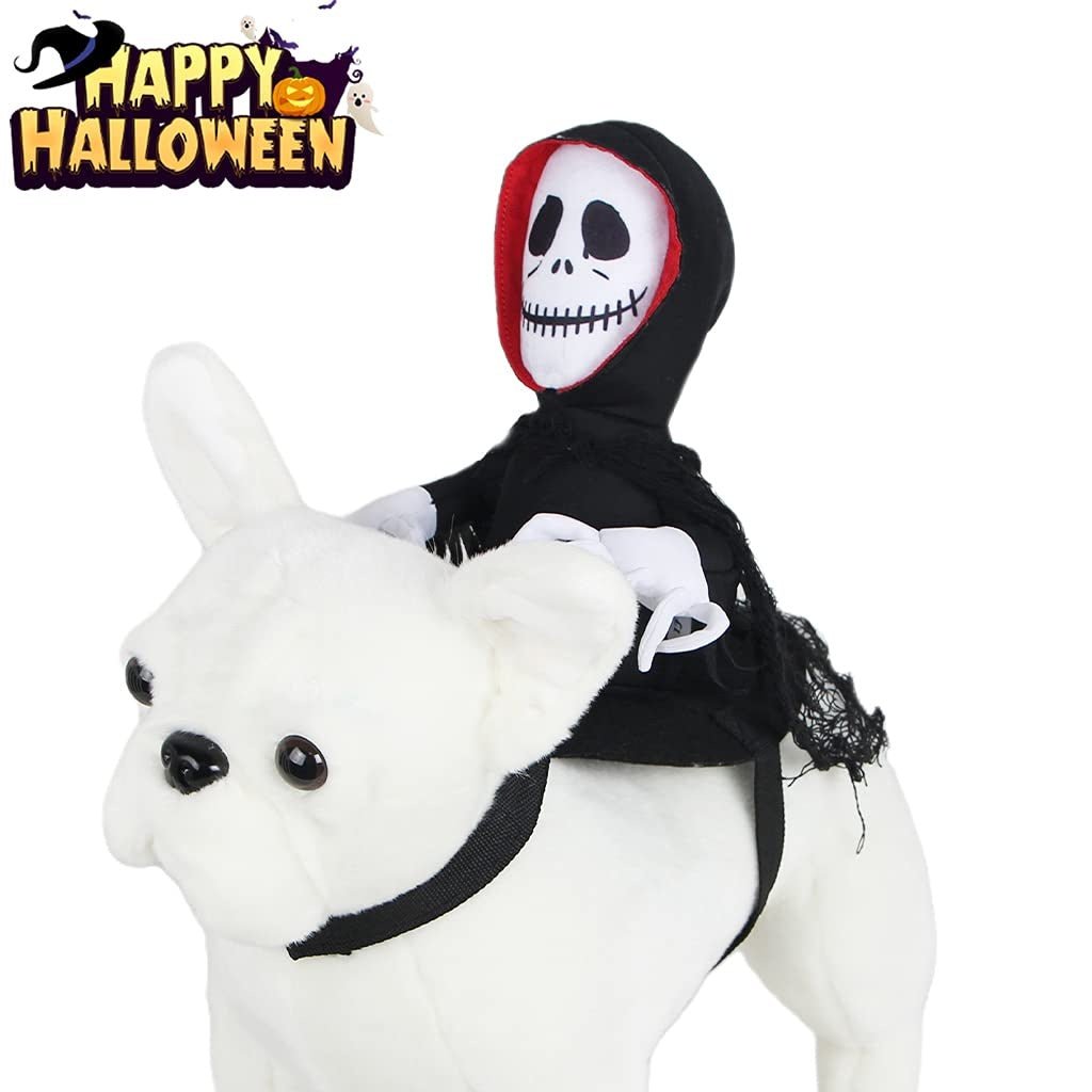 Halloween pet costume for cats skull character